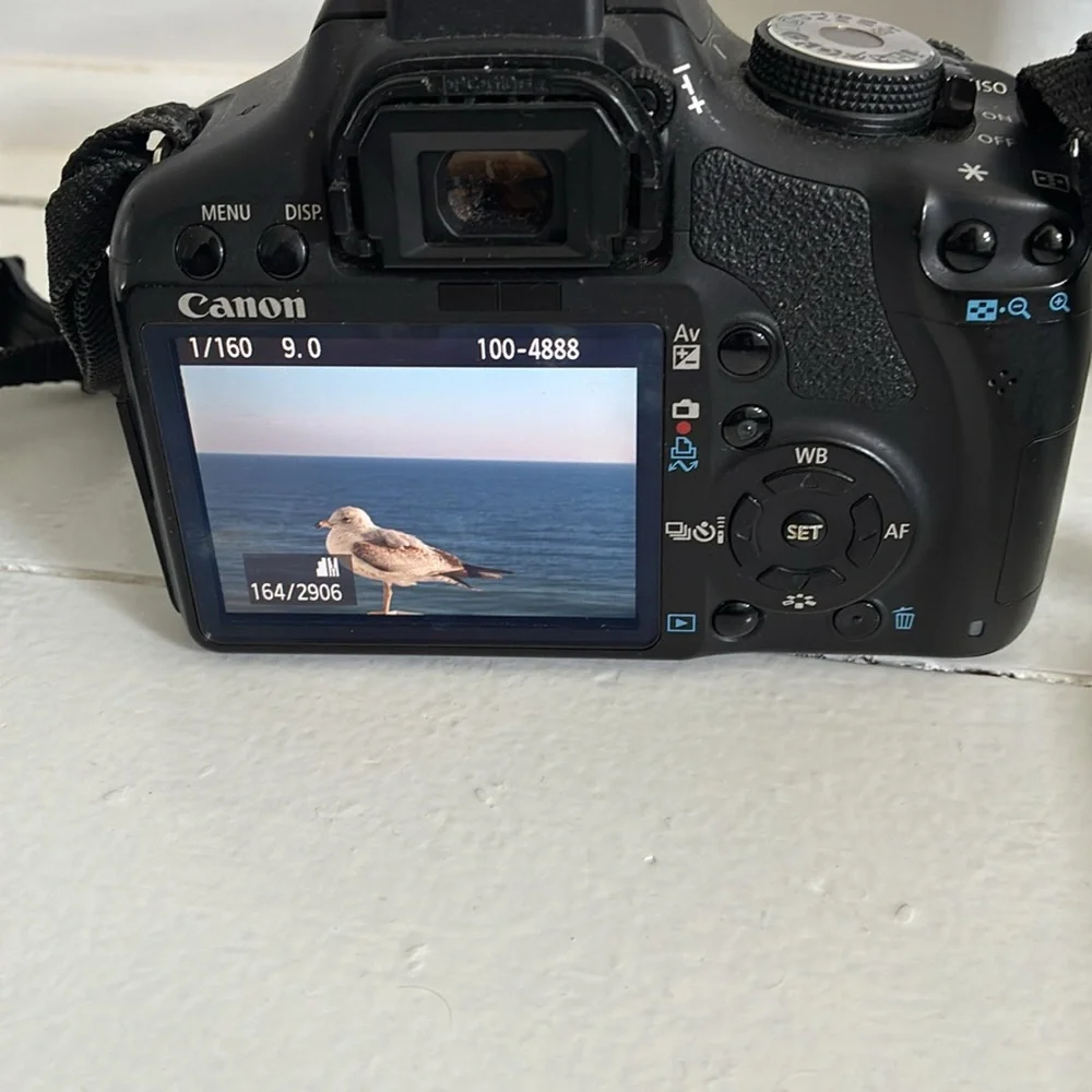 Canon Rebel T1i with extra lens